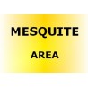 MESQUITE