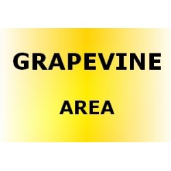 GRAPEVINE