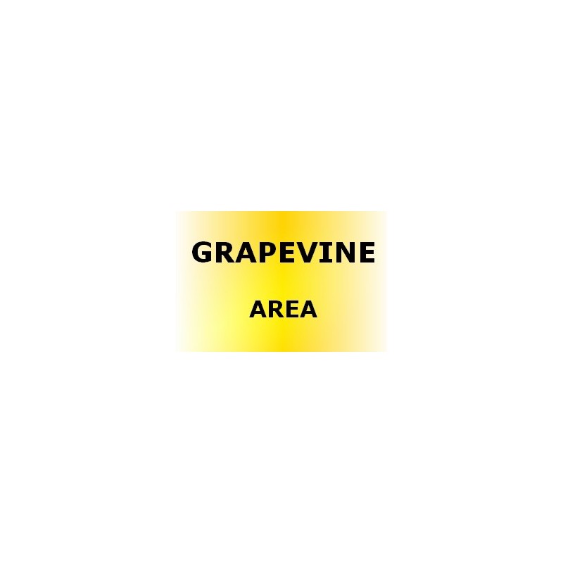 GRAPEVINE