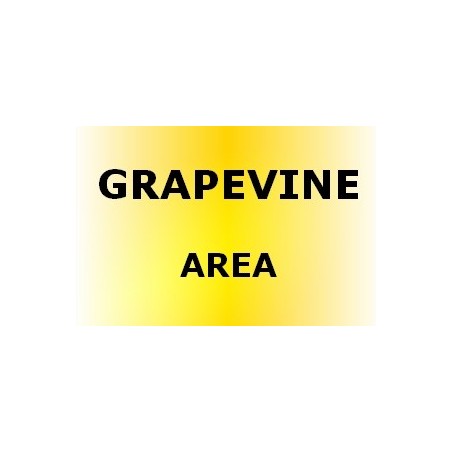 GRAPEVINE